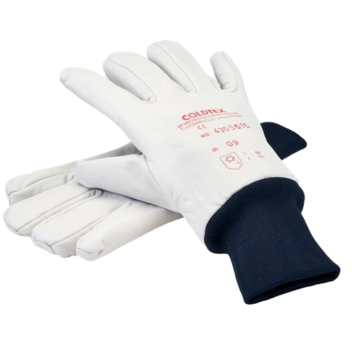 [CT816063302] Handschoen FELDKIRCH